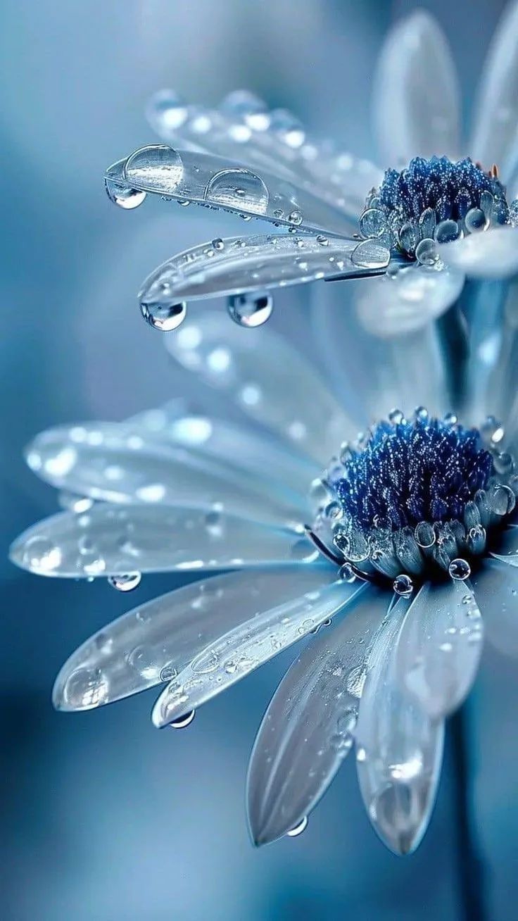 جمعية سقيا الماء بمحافظة العلا